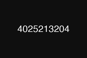 4025213204