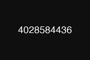 4028584436
