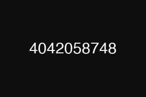 4042058748