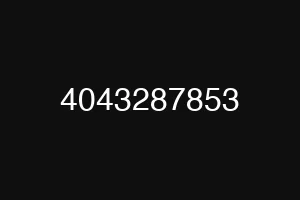 4043287853