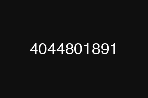 4044801891