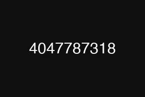 4047787318