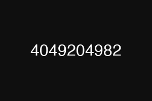 4049204982