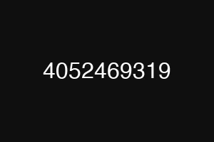4052469319