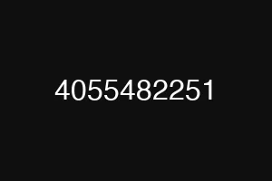 4055482251
