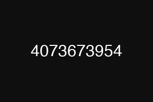 4073673954