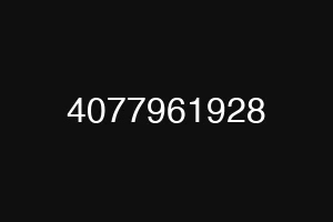 4077961928