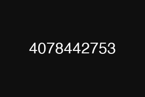 4078442753