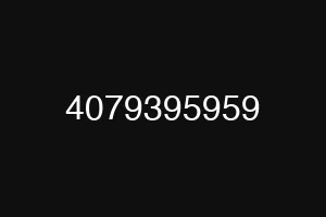 4079395959