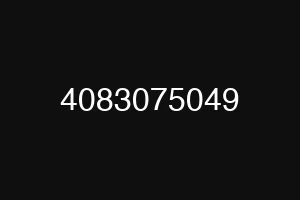 4083075049