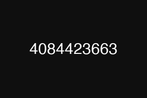 4084423663