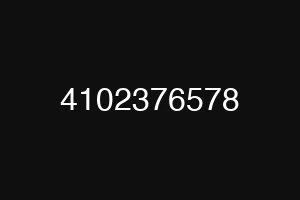4102376578