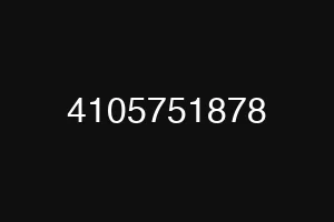 4105751878