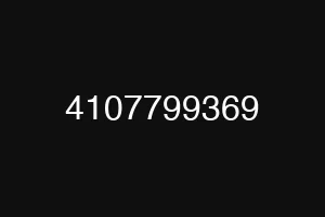4107799369