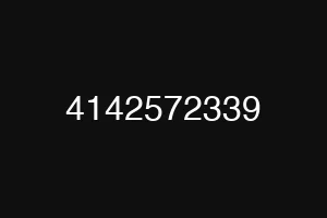 4142572339