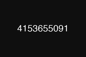 4153655091