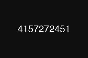 4157272451