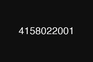 4158022001