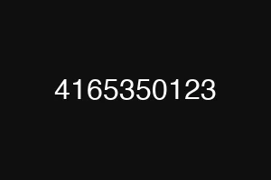 4165350123