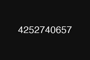 4252740657