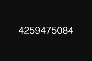 4259475084