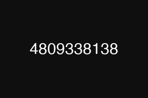 4809338138