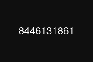 8446131861
