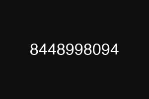 8448998094