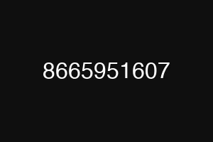 8665951607