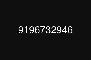 9196732946