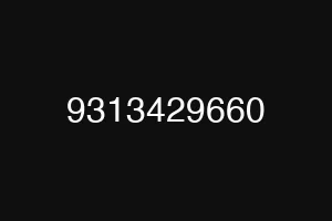 9313429660