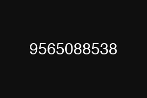 9565088538